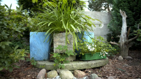 "Nowa Maja w ogrodzie": donice ogrodowe DIY. Stwórz dekoracyjne donice wykorzystując styropian i materiały
